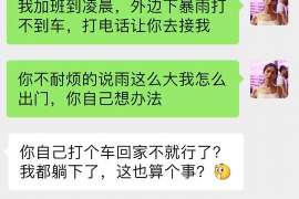 富拉尔基侦探取证：夫妻共有财产分割原则